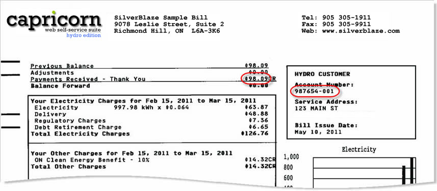 You can find your account number, payment information, and where they are written in the bill as shown.